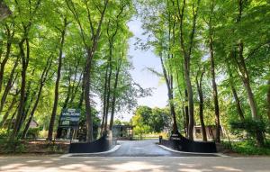 a road with trees on the sides of it at Tiny House 10 Met Hottub in Wenum +10 photos