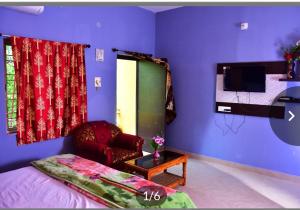 a bedroom with purple walls and a chair and a tv at Hotel Royal Palace Dharamgarh in Dharamgarh