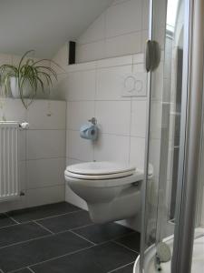 ein weißes Bad mit einem WC und einer Dusche in der Unterkunft Ferienwohnungen Malz in Blaibach