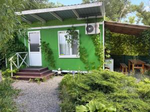 a green house with a white door and stairs outside at Дачний будиночок in Kobelyaky +25 photos