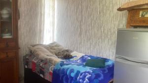 a dog laying on a bed in a room at noras guesthauze 2026 in Zhabeshi