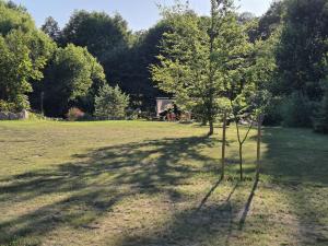 a tree in the middle of a field at Stellplatz für VAN & Wohnmobile in Carpin