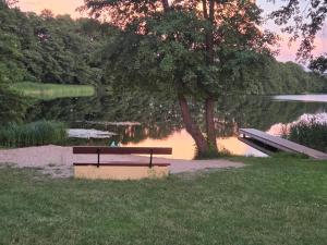 a bench sitting next to a body of water at Stellplatz für VAN & Wohnmobile in Carpin