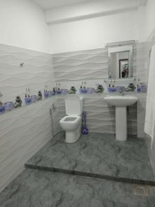 a bathroom with a toilet and a sink at NIVRA Homestay in Kumbalwela +1 photo