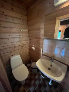 a bathroom with a white sink and a toilet at Arola 2 in Syöte