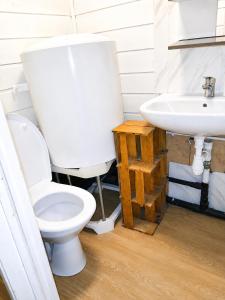 a bathroom with a toilet and a sink at l'HYPERCENTRE Loft Atypique et Historique 5 PERS Cathédrale in Clermont-Ferrand