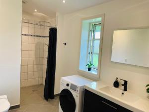 a bathroom with a sink and a toilet and a mirror at Lovely Cottage With Secluded Garden in Rødby +17 photos