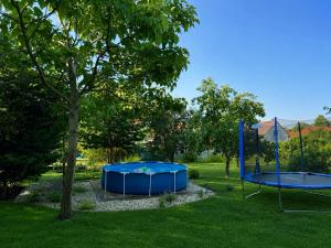 two blue trampols in a yard with a tree at Gabi Apartman in Gyenesdiás