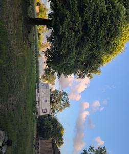 a view of the sky from the ground with trees at Au soleil in Virac