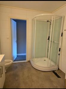 a bathroom with a shower and a toilet at Leilighet ved vannet in Konsmo