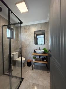 a bathroom with a toilet and a sink and a mirror at Cindrel Chalet Jina in Jina +34 photos