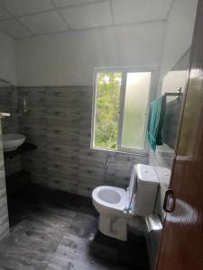 a bathroom with a toilet and a sink and a window at D&D Holyday Homes in Kandy +15 photos