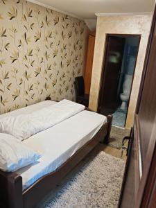 a bedroom with a bed and a bathroom with a mirror at Casa Luminita in Brezoi