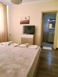 a bedroom with a bed and a flat screen tv at ApartmentDanny in Hisarya +5 photos