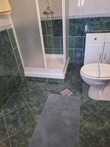 a bathroom with a toilet and a shower in it at Pension Casa Maria in Sovata +19 photos