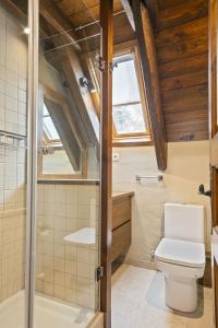 a bathroom with a toilet and a shower at Luderna - Casa con terraza Cuylas in Baqueira-Beret +5 photos
