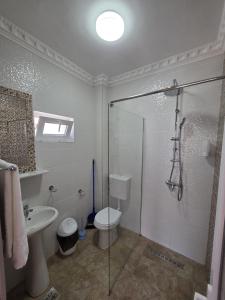 a bathroom with a shower and a toilet and a sink at Vila Madi in Vama Veche