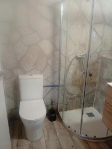 a bathroom with a white toilet and a shower at Elena's bar loft in Poio