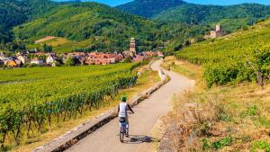 a man riding a bike down a dirt road at Lodge de la WEISS in Lapoutroie +18 photos