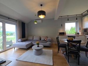 a living room with a couch and a table at Apartamenty Wichrowa in Żywiec