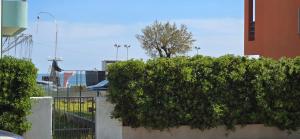 a hedge in front of a building with a tree at Casa Ida in Marotta