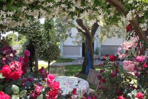 a garden with pink flowers and a tree at Appartamento Stella Marina in Marcelli