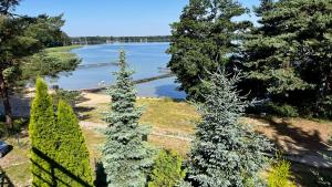 two trees in a garden next to a body of water at NASZE BIAŁE pokój 2 osobowy in Okuninka