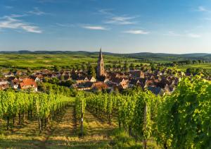 a view of a small town in a vineyard with a church at Le Plébiscité Maison Premium sur la Route des Vins d'Alsace in Marlenheim
