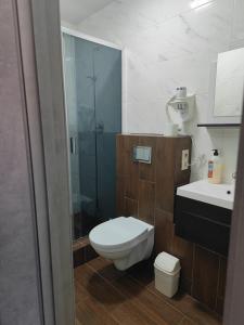 a bathroom with a toilet and a glass shower at Zarvanska str apartment in Kamianets-Podilskyi