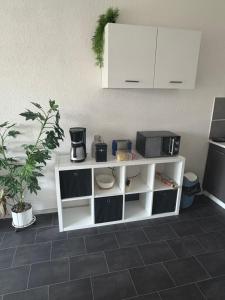 a white shelf in a kitchen with a plant at Kleine Südharz Auszeit in Heringen