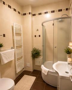 a bathroom with a shower and a toilet and a sink at Pensiunea Cardinal in Sibiu +44 photos