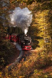a steam train is coming down the tracks at Kleine Südharz Auszeit in Heringen +9 photos