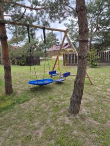 a swing set on a tree in a yard at Pod lasem dom letniskowy in Majdan Sopocki