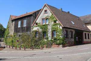 a building covered in ivy on the side of a street at Südpfalz in Barbelroth