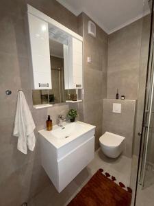 a bathroom with a sink and a toilet and a mirror at Dunavska panorama in Golubac +15 photos