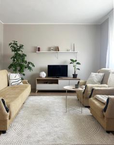a living room with a couch and a tv at Dunavska panorama in Golubac