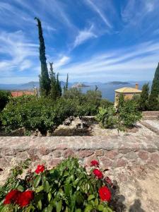 a garden with red flowers on a stone wall at Myrto Signature Villa - Aegina in Aegina