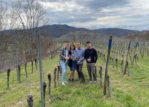 a group of people standing in front of a vineyard at Apartment Turmfalke in Vogtsburg +18 photos