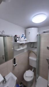 a bathroom with a toilet and a sink and a mirror at Green Sky House in Mostec +18 photos