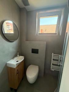 a bathroom with a toilet and a sink and a mirror at Willa Gazda Apartamenty in Sromowce Niżne +12 photos