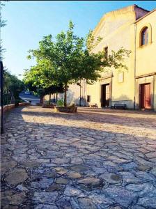 a stone road with a tree and a building at La Scienza Nuova in Vatolla