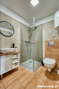 a bathroom with a shower and a toilet and a sink at Domki przy Skarpie in Lądek-Zdrój