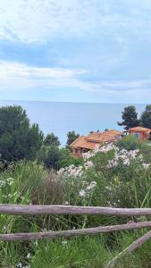 a wooden fence in front of a field of flowers at Aurora Maris Maisonette in Possidi