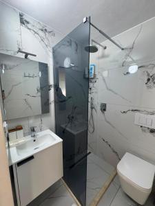 a bathroom with a shower and a sink and a toilet at Guesthouse Bjeshket E Arta in Lëpushë