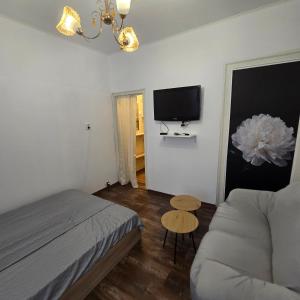 a bedroom with a bed and a couch and a tv at Happy House Garden in Plovdiv