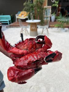 a large red lobster sitting on a persons arm at Palms hotel and Spa in Fulhadhoo