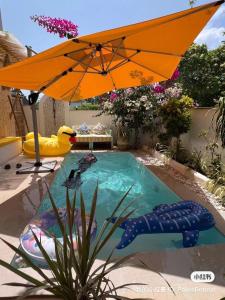 a swimming pool with an umbrella and an inflatableigator at Palms hotel and Spa in Fulhadhoo