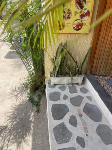 a sign on the side of a building with plants at Palms hotel and Spa in Fulhadhoo