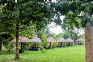 a row of straw huts in a field of grass at Dream Land Resort Beach in Mpigi
