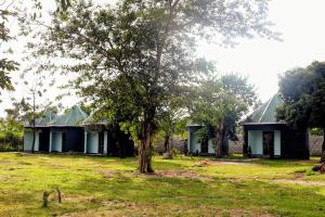 a house with a tree in front of it at Dream Land Resort Beach in Mpigi